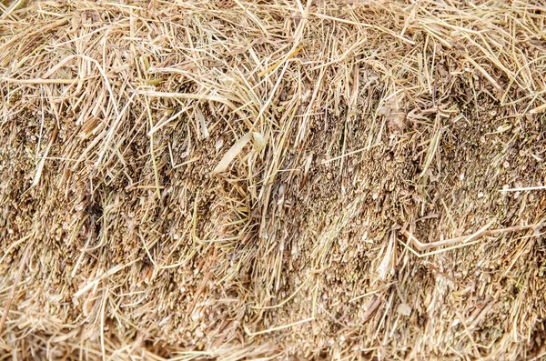 背景や質感のための乾燥藁 — ストック写真