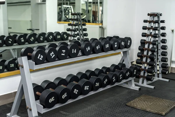 Conjunto Mancuernas Gimnasio Deportivo Equipo —  Fotos de Stock