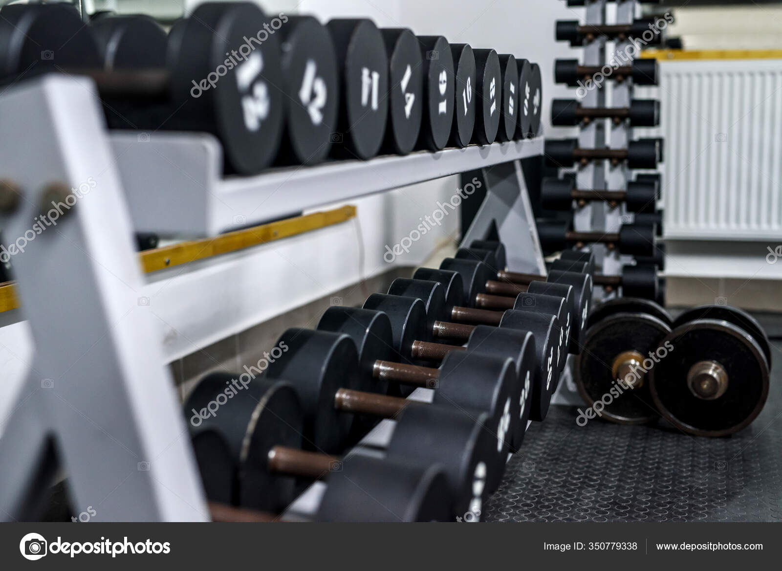 Different Sport Equipment Gym Background Stock Photo Image By C Alfexe 350779338