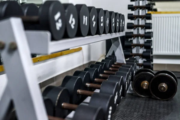 Equipamento Desportivo Diferente Ginásio Como Fundo — Fotografia de Stock