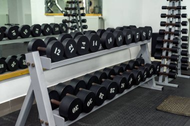 Spor salonunda halterler, ekipmanlar.