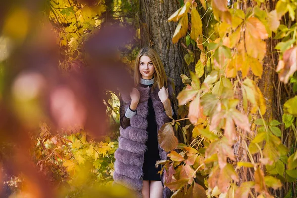 Mode Kleidet Frau Pelzmantel Und Kleid Posiert Herbstpark — Stockfoto