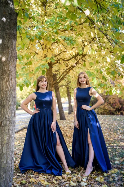 Две Красивые Девушки Модных Голубых Платьях Осеннем Парке — стоковое фото