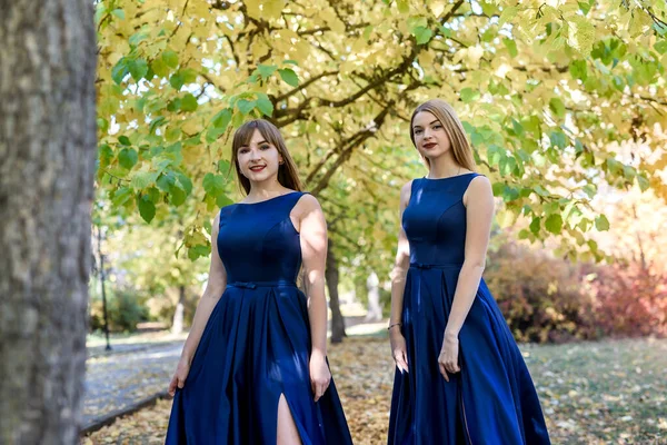 Duas Moças Muito Bonitas Vestidos Azuis Moda Parque Outono — Fotografia de Stock
