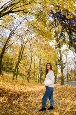 Sonbahar manzarası. Parkta sarı yapraklarla poz veren günlük giysili bir kadın.