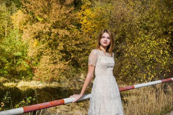 Frau Eleganten Abendkleid Posiert Herbstpark Sonnenlichter Bäumen Gelben Farben — Stockfoto