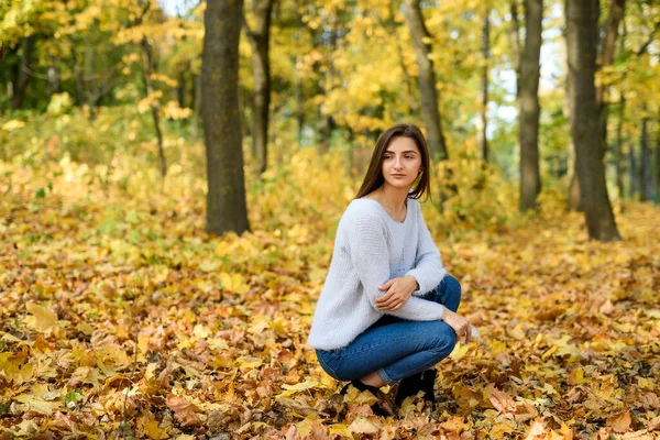 Jesienny Krajobraz Kobieta Stroju Casual Pozowanie Parku Żółtymi Liśćmi — Zdjęcie stockowe