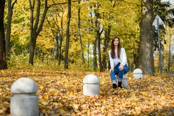 Осінній Пейзаж Жінка Повсякденному Одязі Позує Парку Жовтим Листям — стокове фото