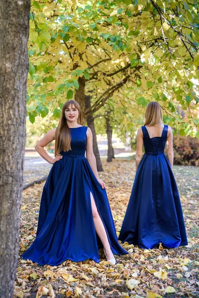 공원에서 파란색 드레스를 아름다운 — 스톡 사진