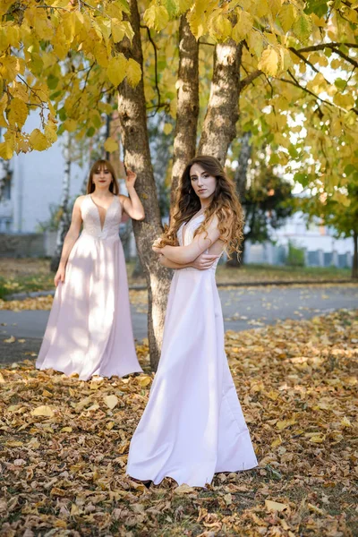 Dos Princesas Jóvenes Vistiendo Bonito Vestido Beige Parque Otoño Foto — Foto de Stock