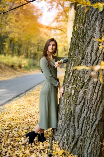 Női Portré Barna Portré Őszi Parkban Visel Olajbogyó Ruha — Stock Fotó