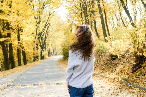 Осінній Пейзаж Жінка Повсякденному Одязі Позує Парку Жовтим Листям — стокове фото