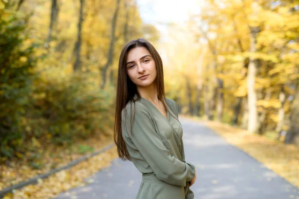 Colores Otoñales Hermosa Mujer Abrigo Posando Bosque Carretera —  Fotos de Stock