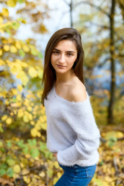 Retrato Mulher Morena Desgaste Casual Parque Outono Cores Amarelas Torno — Fotografia de Stock