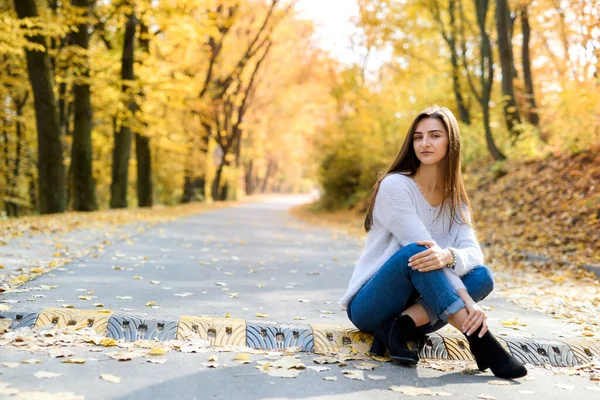 Portrait Femme Brune Tenue Décontractée Dans Parc Automne Couleurs Jaunes — Photo