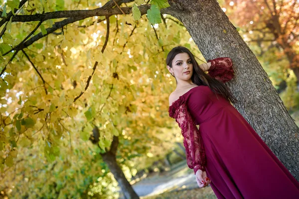 公園の美しい赤いドレスの若い王女 背景は明るく金色の秋の自然 — ストック写真