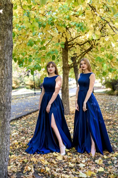 Dos Jóvenes Muy Hermosas Vestidos Azules Moda Parque Otoño — Foto de Stock