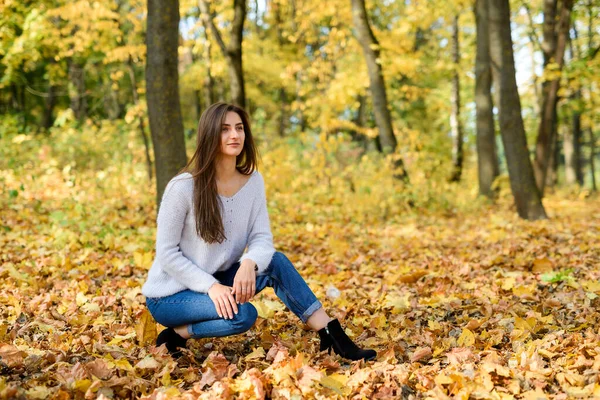 Paysage Automne Femme Tenue Décontractée Posant Dans Parc Aux Feuilles — Photo