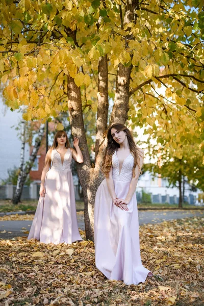 两个年轻的公主穿着漂亮的米色衣服在秋天的公园里 时尚照片 — 图库照片