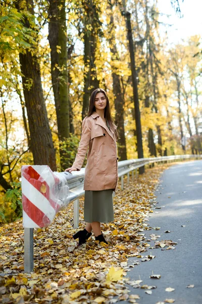 Couleurs Automne Belle Femme Manteau Posant Forêt Sur Bord Route — Photo