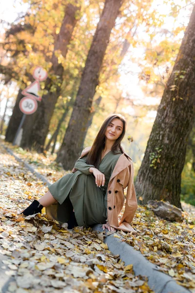 Őszi Színek Gyönyörű Kabátban Pózol Erdőben Szélén — Stock Fotó