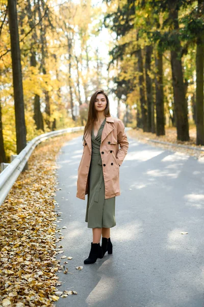 Colori Autunno Bella Donna Cappotto Posa Nella Foresta Sul Ciglio — Foto Stock