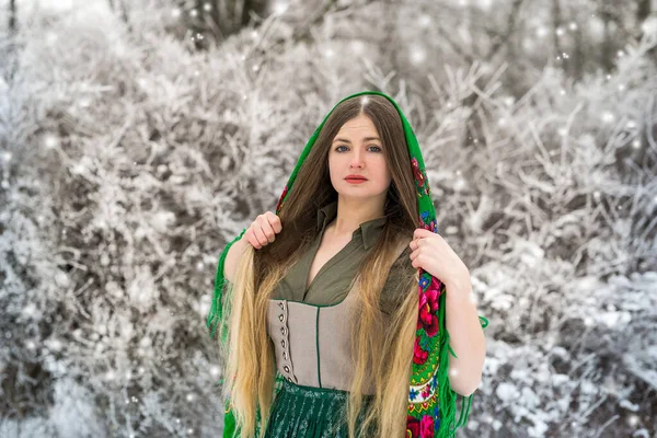 Retrato Una Hermosa Mujer Chal Verde Bosque Invierno —  Fotos de Stock