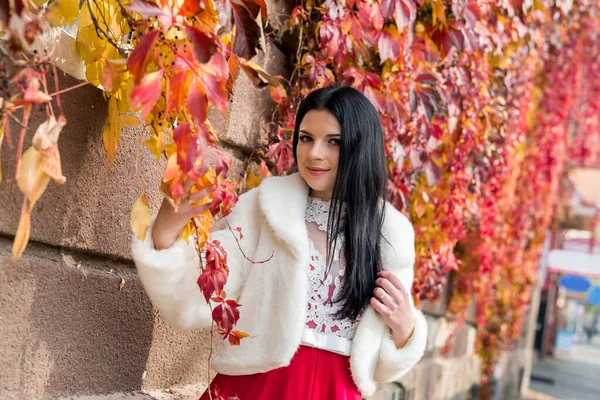 Mujer Morena Vestido Moda Antes Pared Con Hiedra — Foto de Stock