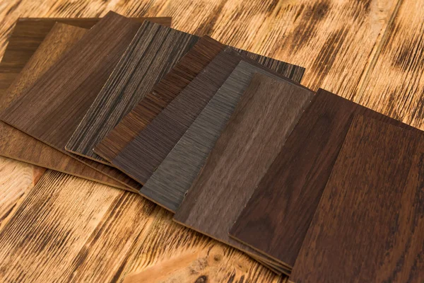 wooden color swatch choosing wood material for housing project. Architecture and construction