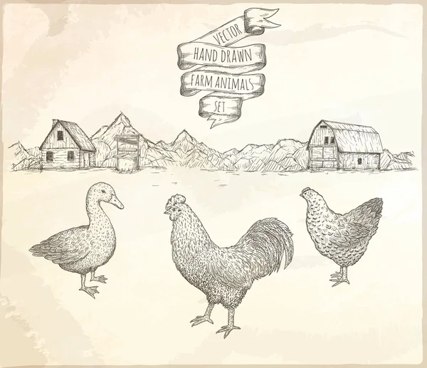Kézzel rajzolt sor farm madarakon. — Stock Vector