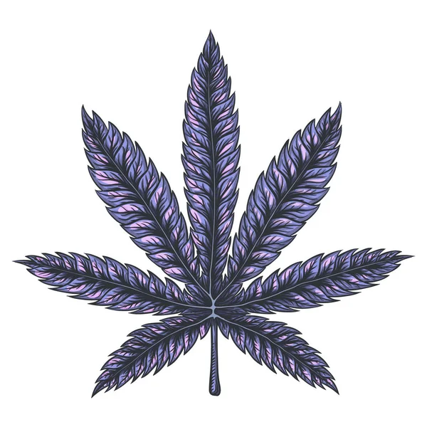 Imagen vectorial de hoja de cannabis . — Archivo Imágenes Vectoriales