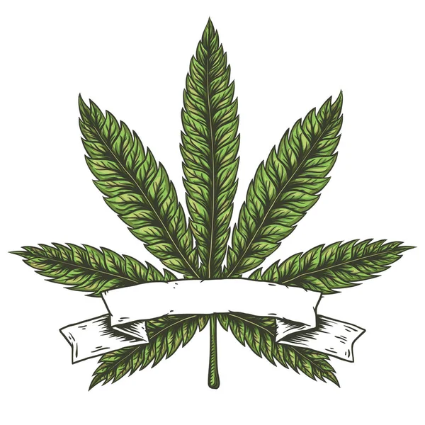 Cannabis leaf vektorillustration. — Stock vektor