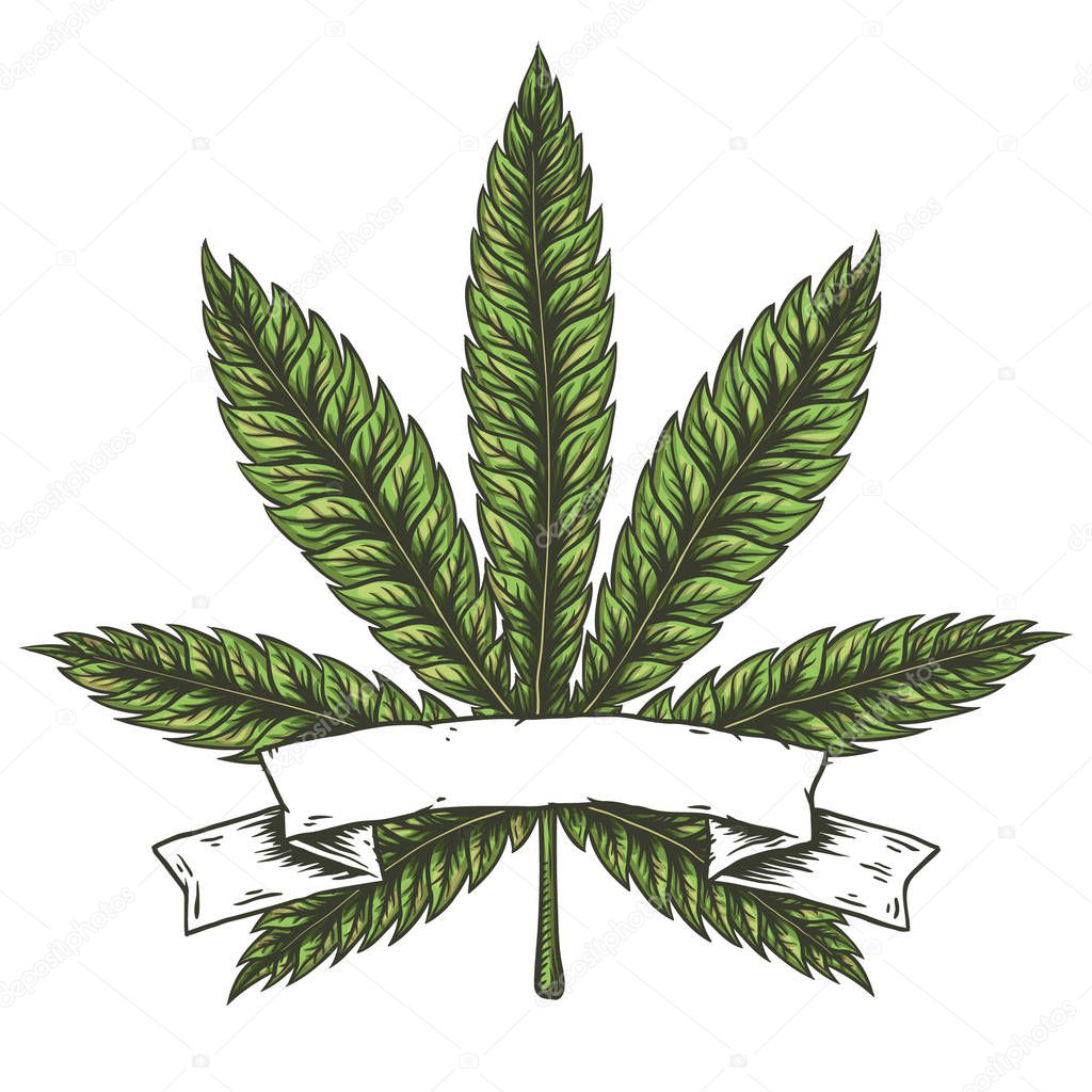 Cannabis leaf. Hand drawn isolated vector illustration.