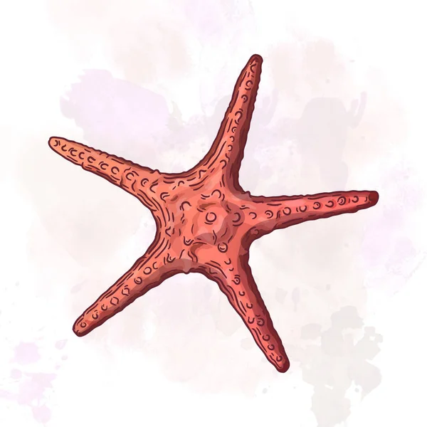 Cartoon illustration of starfish. — Stock Vector