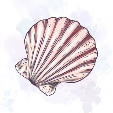 Çizgi film seashell illüstrasyon.