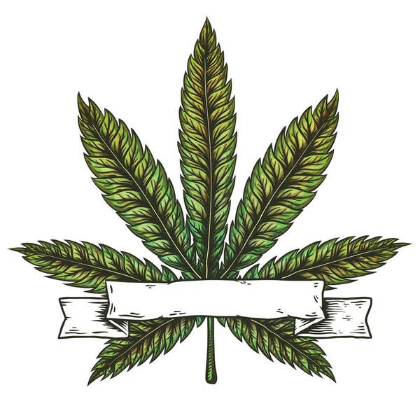 Ilustración del vector de hoja de cannabis . — Vector de stock