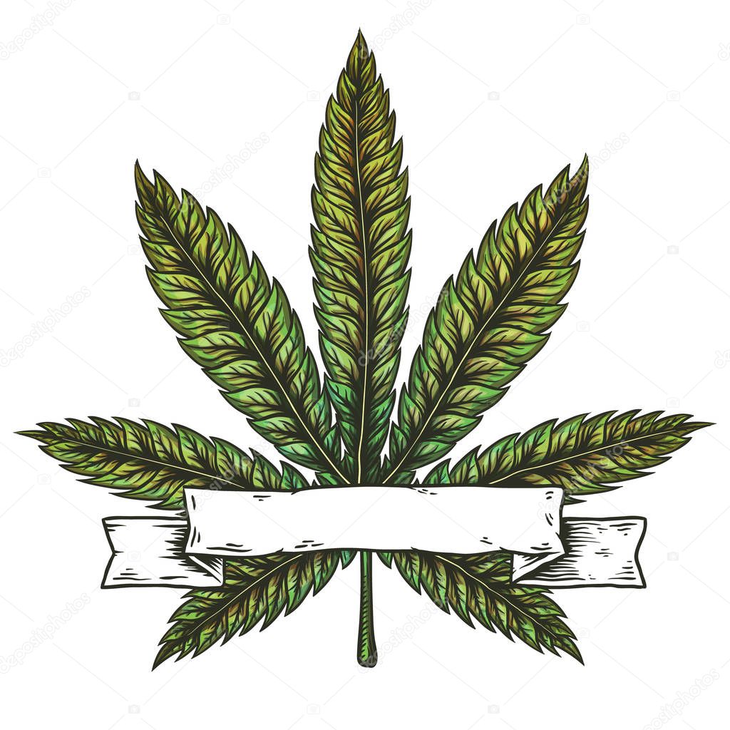 Cannabis leaf. Hand drawn isolated vector illustration.