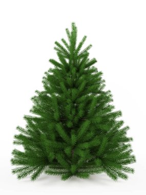 Köknar ağacı. Noel ağacı beyaz bir arka plan üzerinde izole. 3D parçalamak