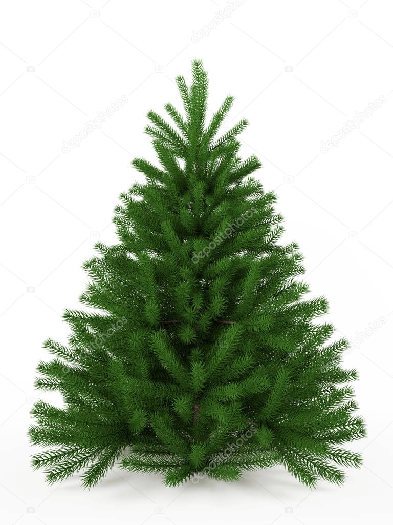 Fir-tree. Christmas tree isolated on a white background. 3d rend