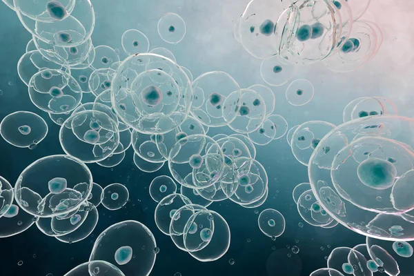 Клітини Під Мікроскопом Людські Або Тваринні Клітини Дослідження Стовбурових Клітин — стокове фото