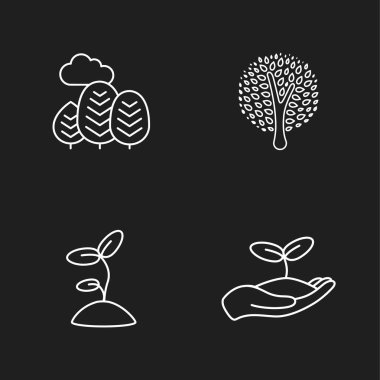 dört düz Eko kutsal kişilerin resmi 