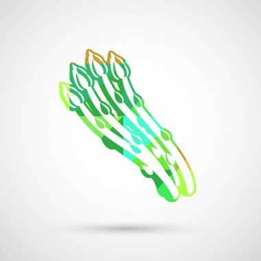 Vejetaryen diyeti için kuşkonmazın vektör çizimi 