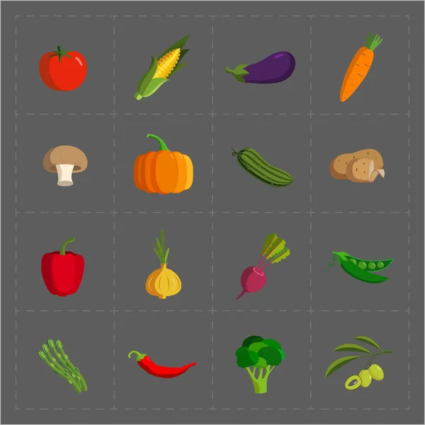 Kleurrijke plantaardige Icon Set op grijze achtergrond — Stockvector