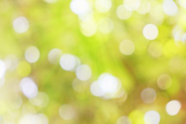 Yeşil doğa ile bokeh, arka plan ışık.