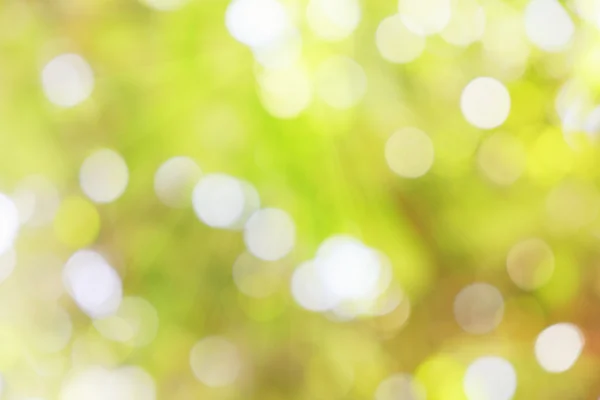 Yeşil doğa ile bokeh, arka plan ışık.
