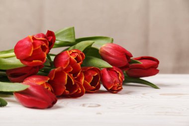 Çiy içindeki bahar laleleri, ahşap bir masanın üzerinde. Bej arka planda kırmızı laleler. Bahar tebrik kartı.