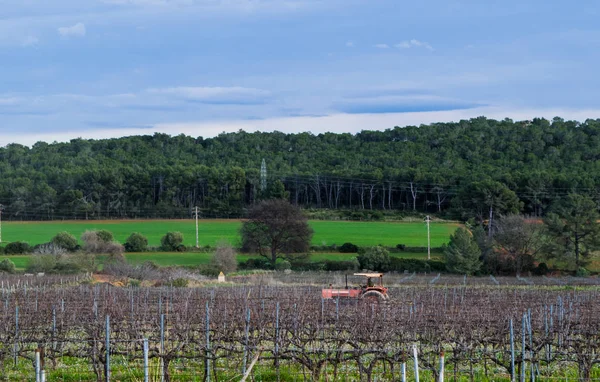 Czerwony traktor praca na winorośli, wczesną wiosną w Hiszpanii — Zdjęcie stockowe