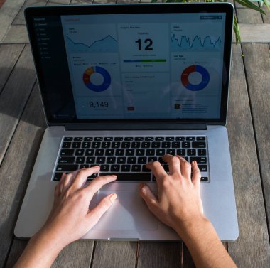 Analitik grafik üzerinde Bahçe, Danışma ile dizüstü bilgisayar kullanarak kadının elleri çalışmak temiz hava üzerinde serbest meslek