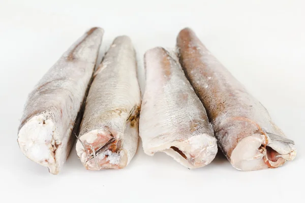 Beyaz bir arka plan üzerinde hake balık dondurulmuş