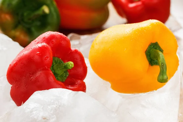 Зеленый, желтый и красный перец со льдом — стоковое фото